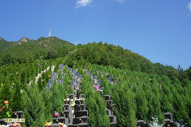 带着遗体游故土，日本火葬催生新的殡仪服务