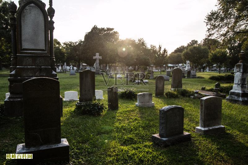 关于解决公益性公墓问题相关对策的思考
