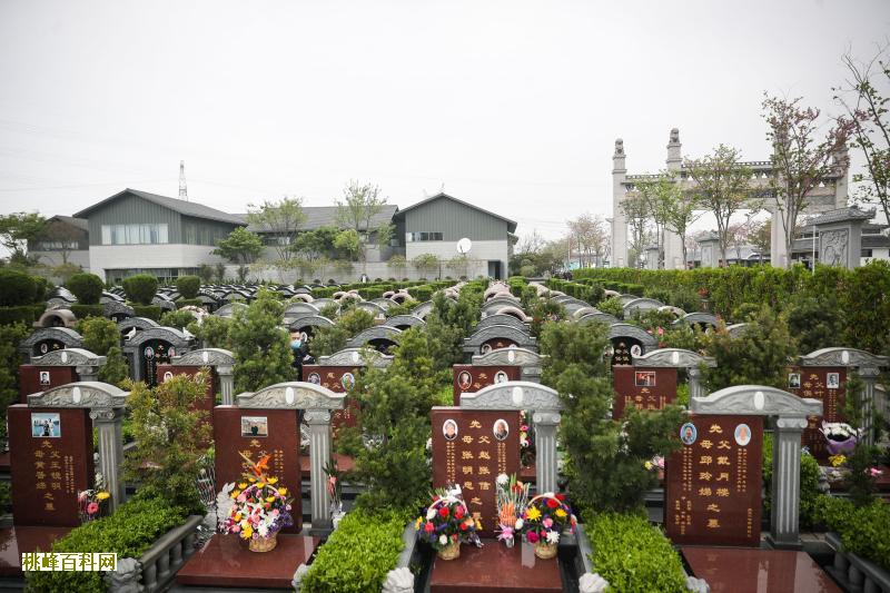 桃峰陵园十万左右的墓地有多少呢？