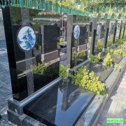 至尊苑立碑7号