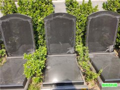 至尊苑立碑10号